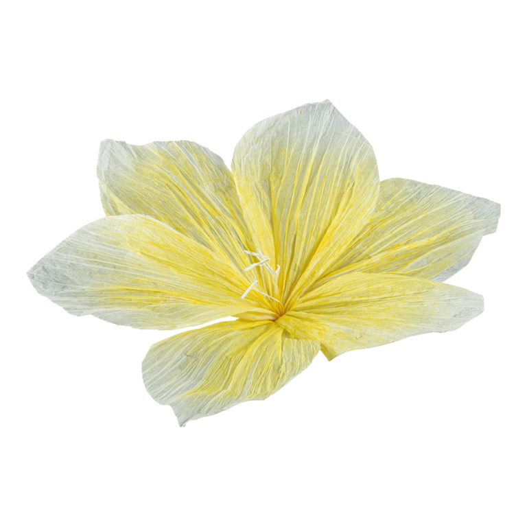 Flower head