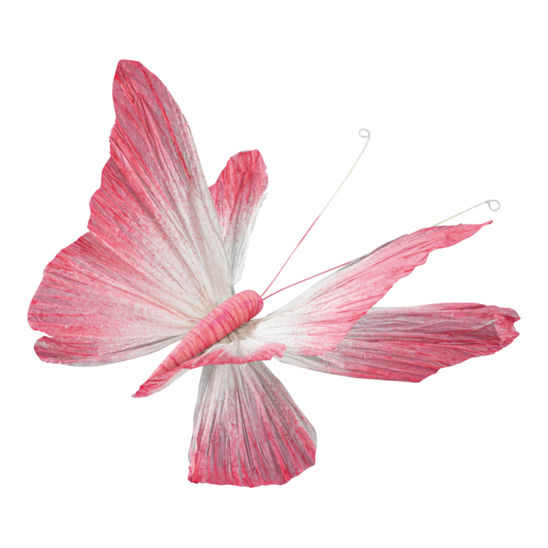 Butterfly with clip