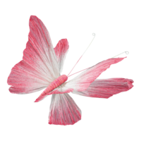 Butterfly with clip