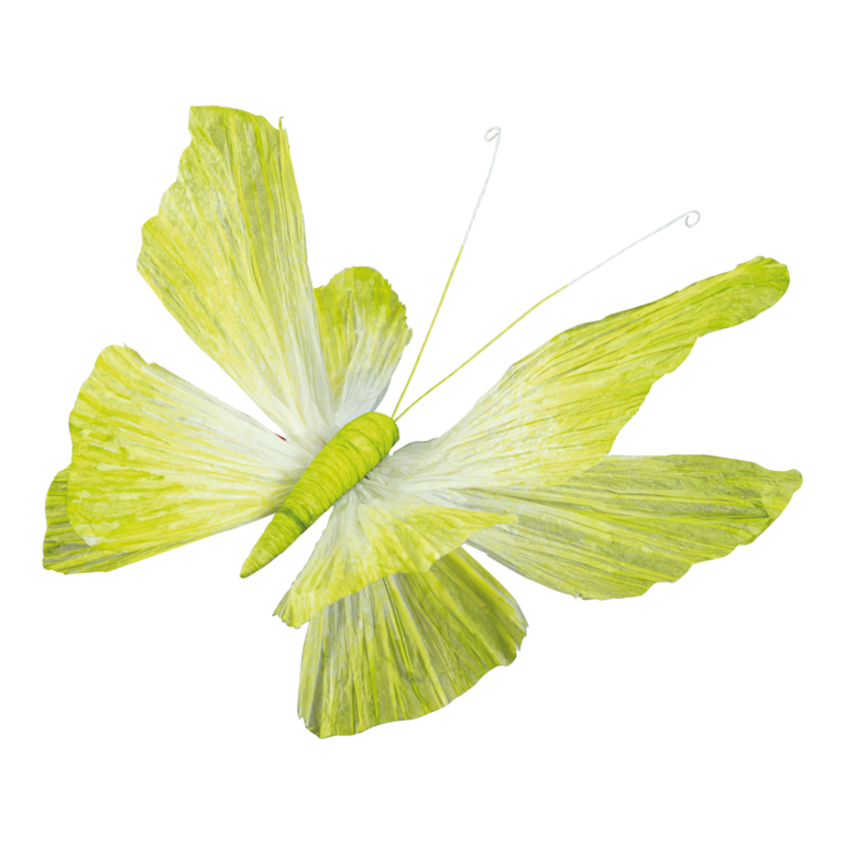 Butterfly with clip