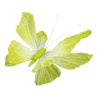 Butterfly with clip