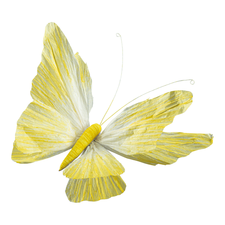 Butterfly with clip