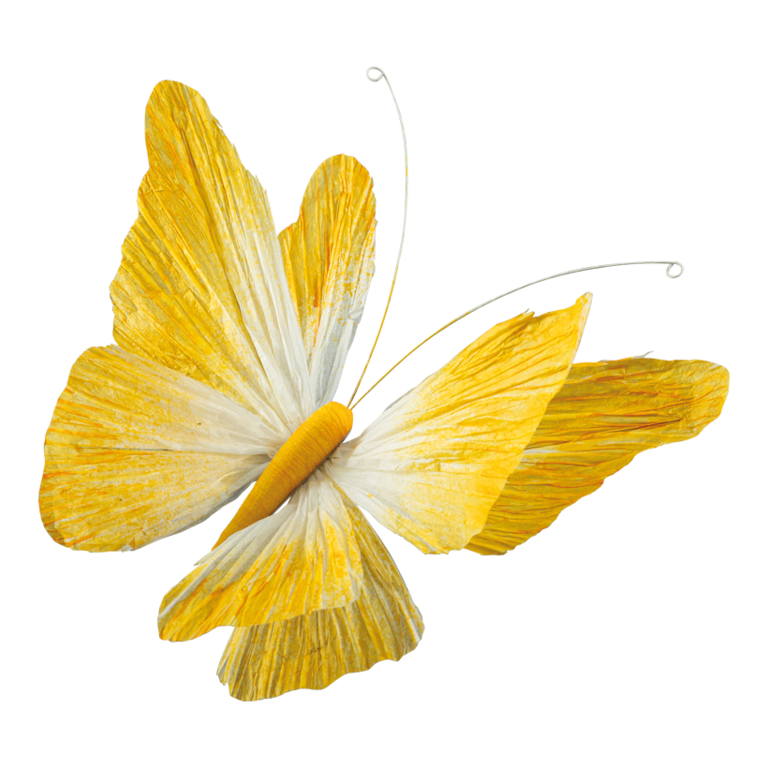 Butterfly with clip