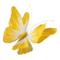 Butterfly with clip