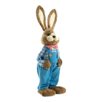 Rabbit with dungarees