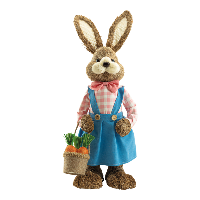 Rabbit with dress
