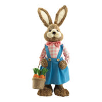 Rabbit with dress