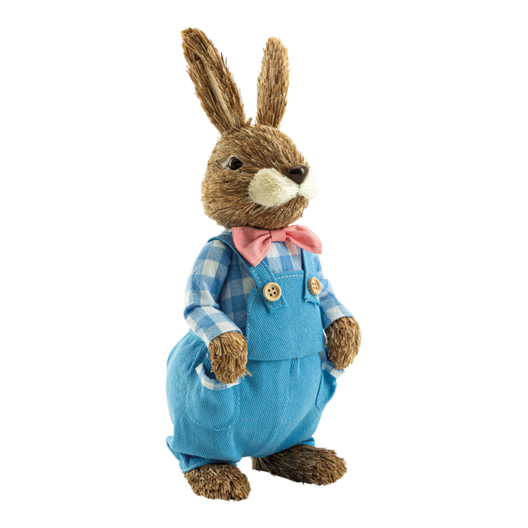 Rabbit with dungarees