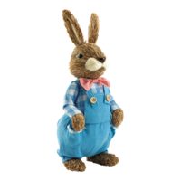 Rabbit with dungarees