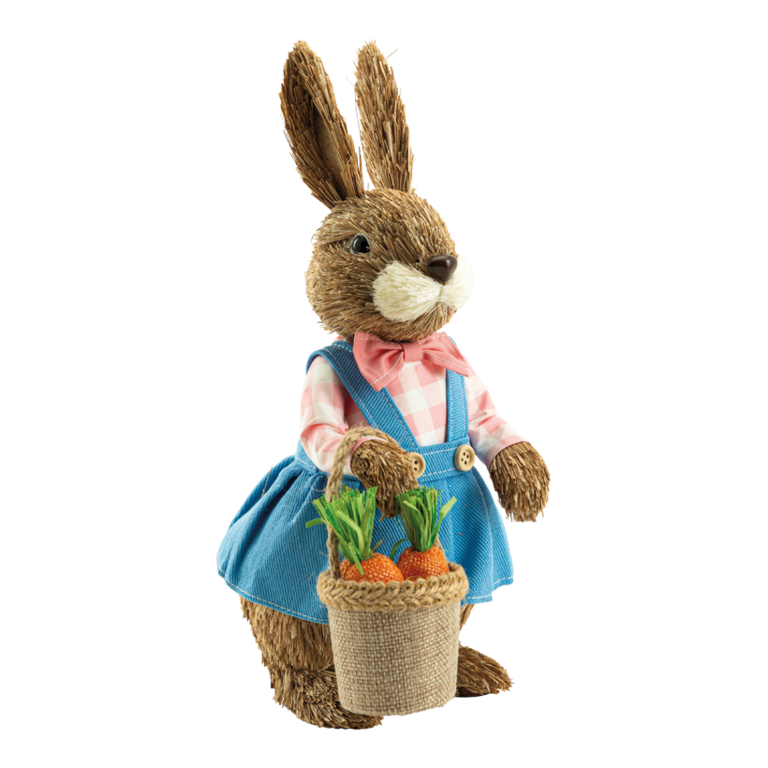 Rabbit with dress