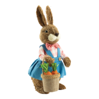 Rabbit with dress
