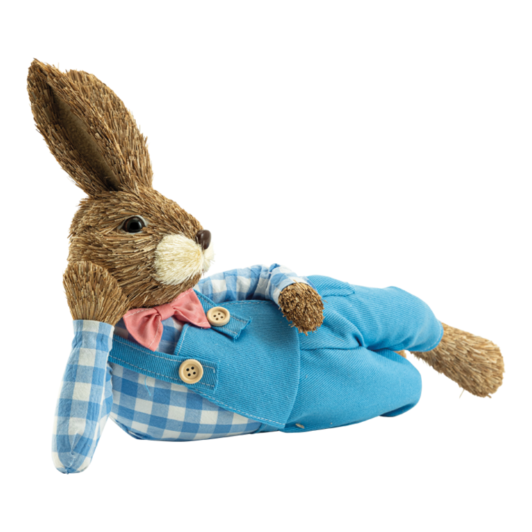 Rabbit with dungarees