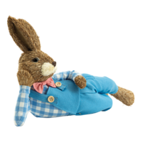 Rabbit with dungarees