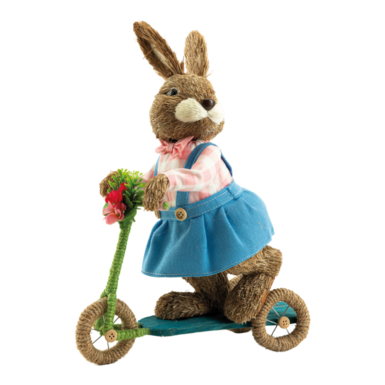 Rabbit with scooter