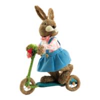 Rabbit with scooter