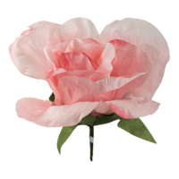 Rose head