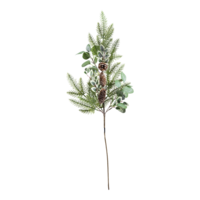 Fir twig, decorated
