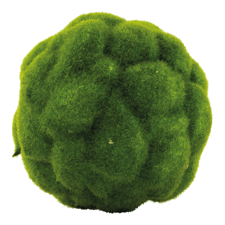 Moss balls