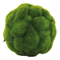 Moss balls