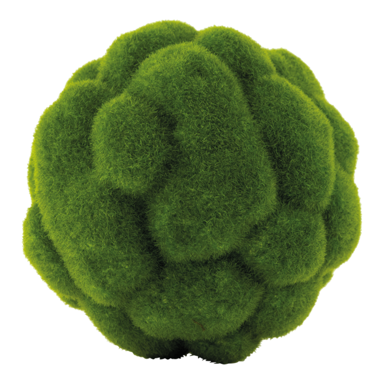 Moss balls