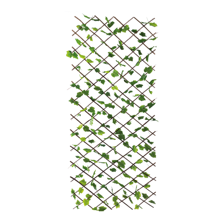 Fence grape leaves