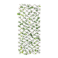 Fence grape leaves