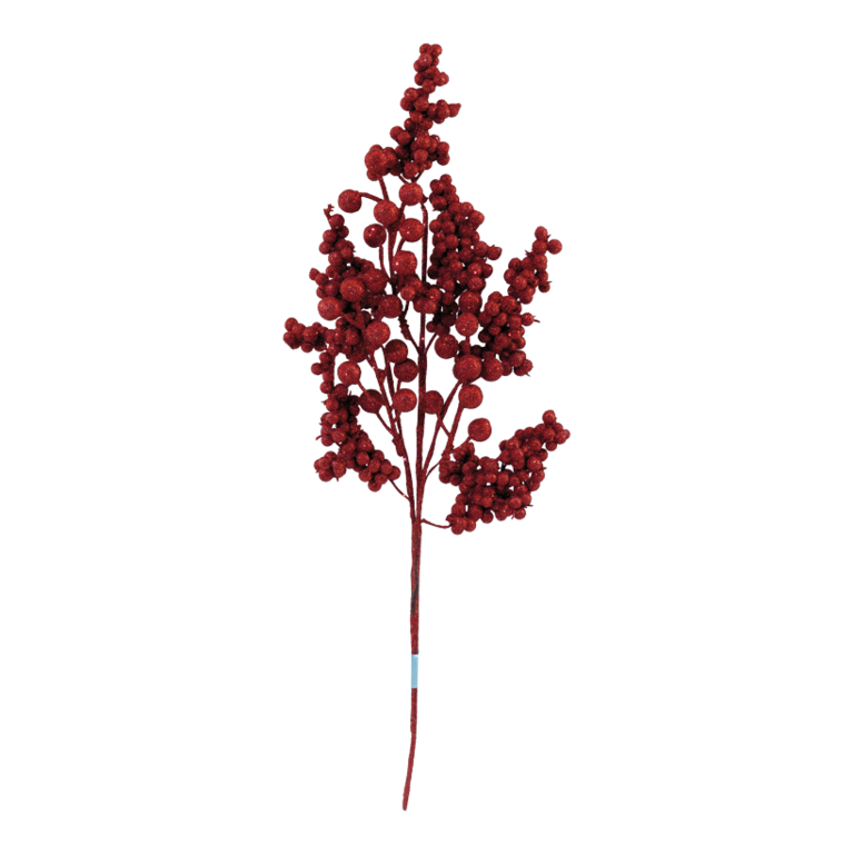 Berry twig