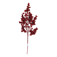 Berry twig