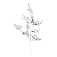 Berry twig