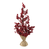 Berry tree