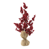 Berry tree