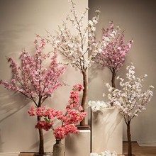 FS24_Kirschblu╠êten-1.jpg