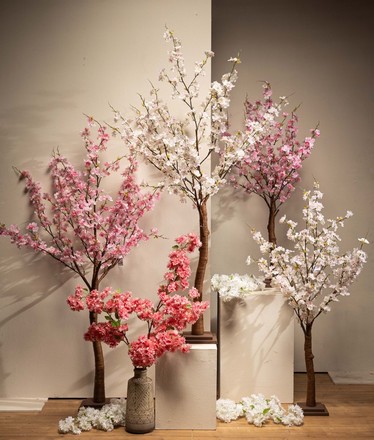 Spring 56