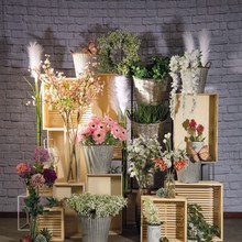 Spring 04.jpg