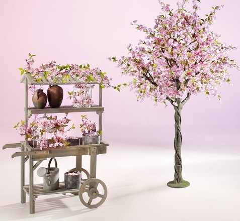 Spring 06