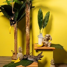 FS24_Affen_Bananen-1.jpg