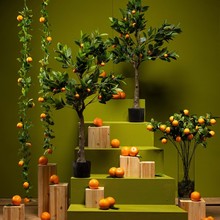 FS24_Orangen_Gru╠ên-1.jpg