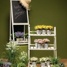 Herbs and Flowers.jpg