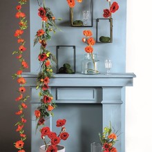 FS19_Sommer_Mohnblumen-Kamin.jpg