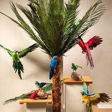 FS24_Palme_Papagei-16.jpg