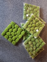 Showroompakket Moss stenen matje 30x30 -  11 stuks!
