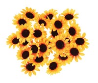 Sonnenblumen-Streubl. 24St