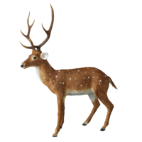 "XXL decorative deer standing 195 cm "