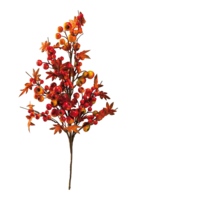 Berry twig