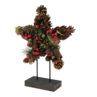 Star with wooden base