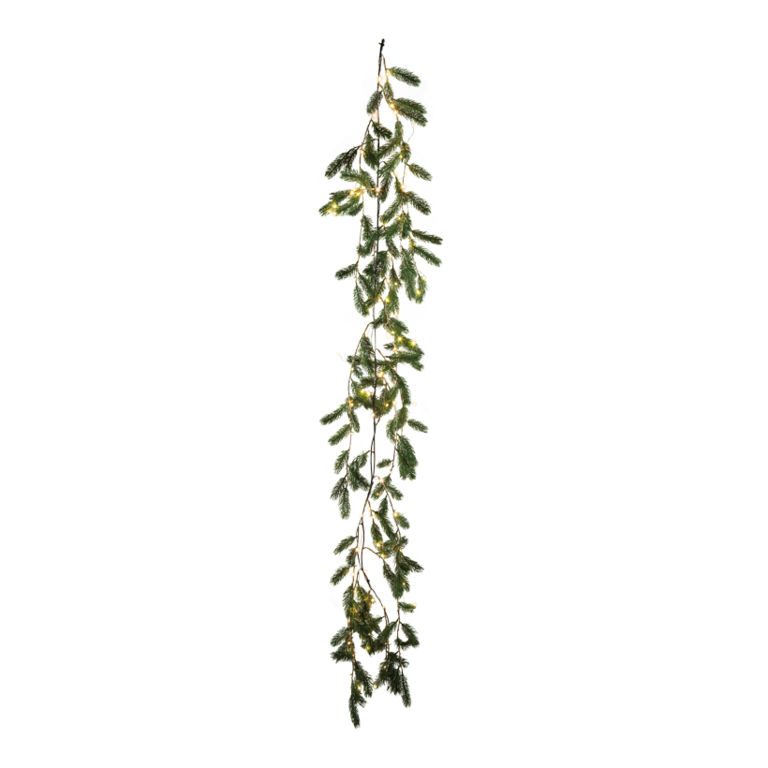 Noble fir icicle