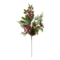 Fir twig with berries