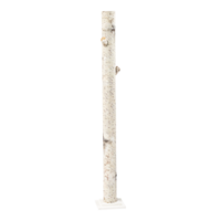 Birch trunk on wooden