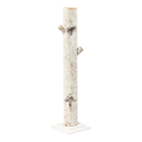 Birch trunk on wooden