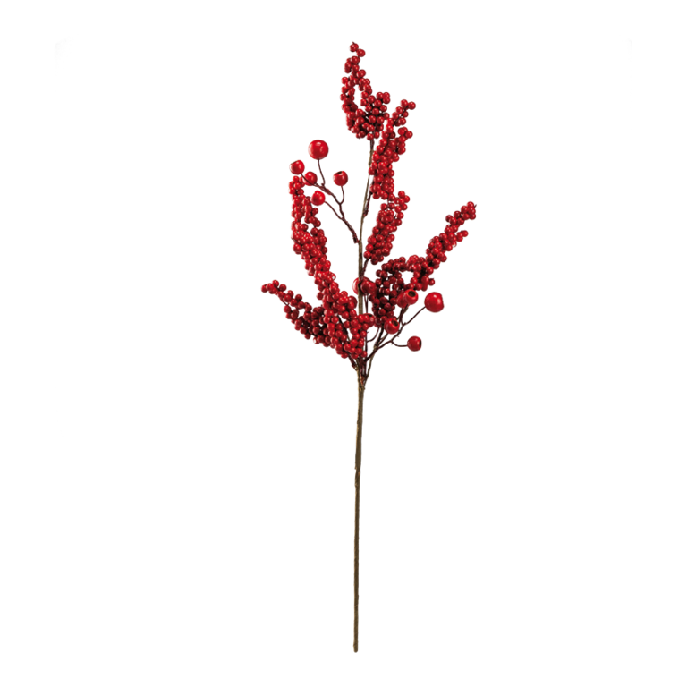 Berry twig